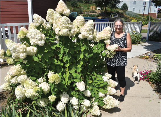 Ginkel gives back at Oak Hills Living Center garden